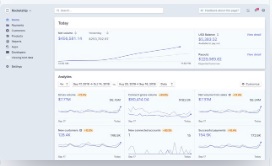 Reporting-and-analytics-standard